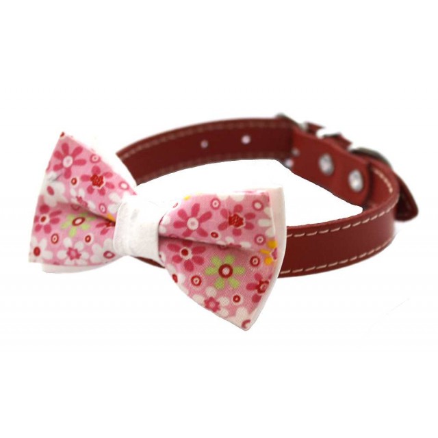 Papion catei floral c0005